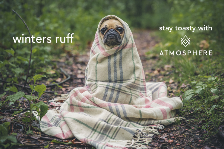 atmosphere-wintersruff-mobile